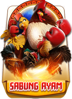 cockfight